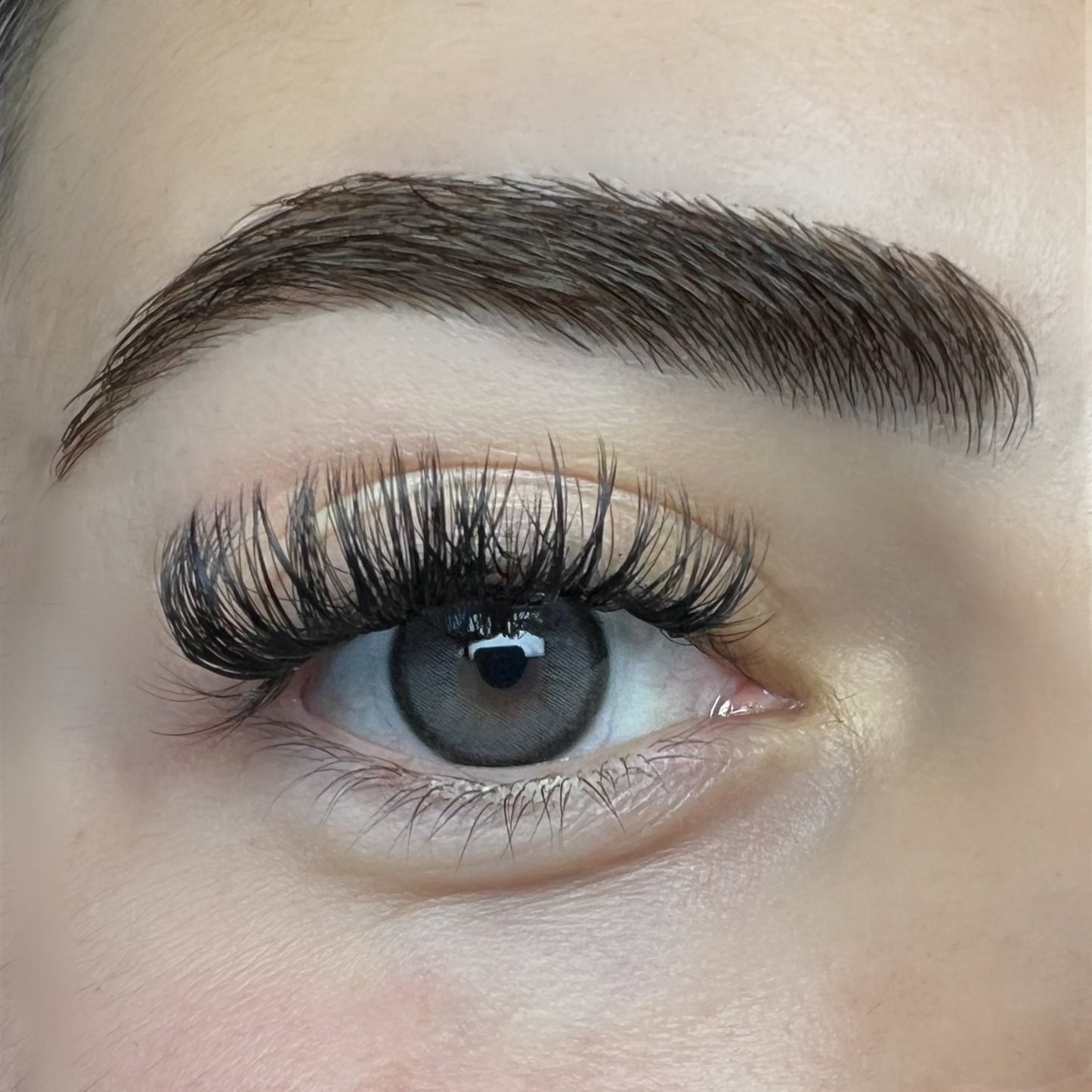 Linser i Charcoal Gray