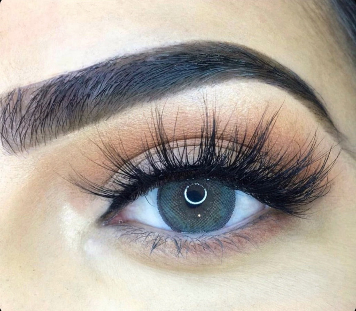 JOY - Luxa Lashes