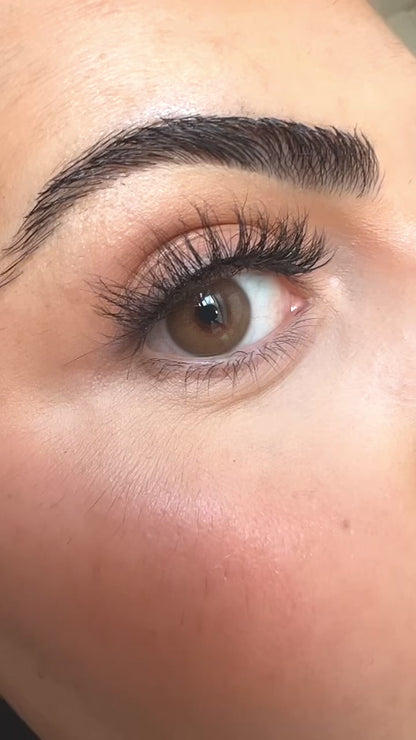 Nyhed: Hazel lite